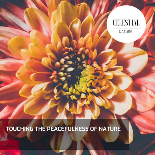 Touching the Peacefulness of Nature