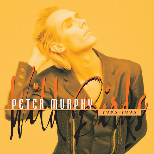 the sweetest drop (edit)_peter murphy_单曲在线试听_酷我音乐