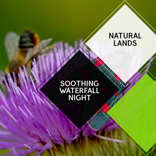 Soothing Waterfall Night - Natural Lands