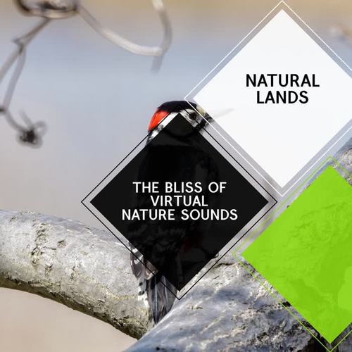 The Bliss of Virtual Nature Sounds - Natural Lands