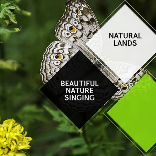 Beautiful Nature Singing - Natural Lands