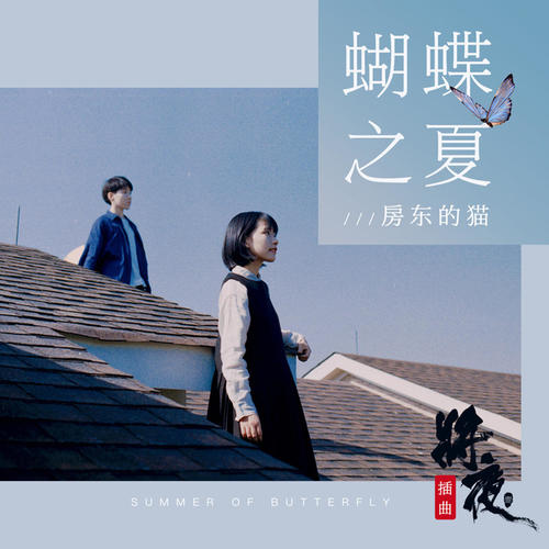 蝴蝶之夏 - 房东的猫