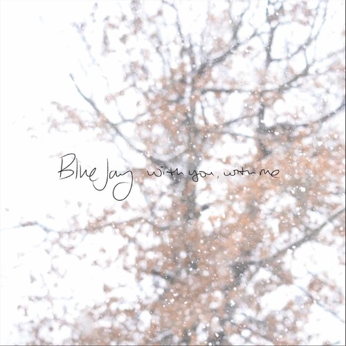 Reflection-Blue Jay-mp3免费在线下载播放-歌曲宝-找歌就用歌曲宝-MP3音乐高品质在线免费下载