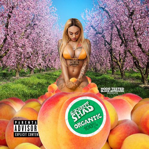 Organtic (feat. Blockrepp Shad) [Explicit]