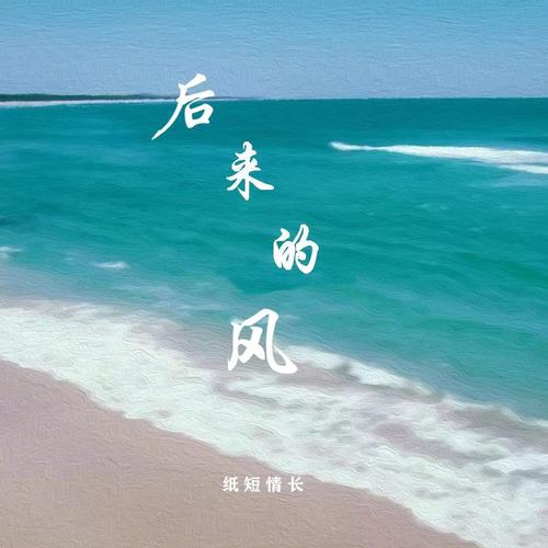 后来的风(DJ德朋版) - 陆三三