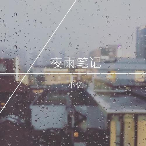 夜雨笔记(DJ版) - 小忆