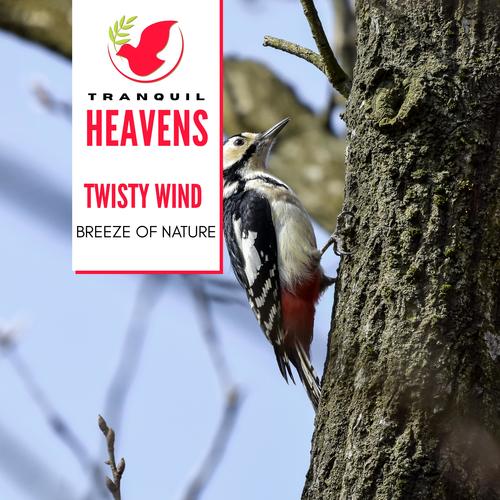 Twisty Wind - Breeze of Nature