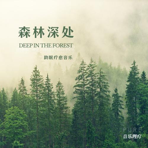 雾气森林Misty Forest - Pure音乐理疗