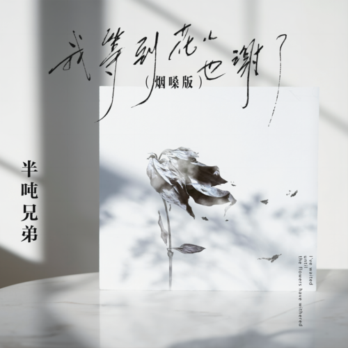 半吨兄弟-我等到花儿也谢了.flac 下载插图