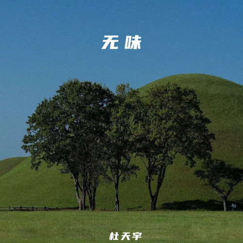 杜天宇-无味.(flac)