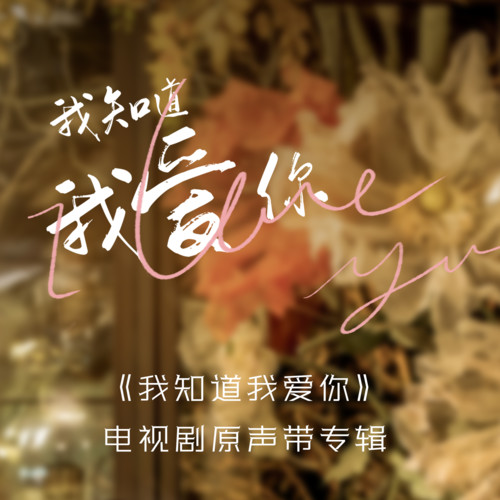 我知道我爱你 电视剧原声带专辑