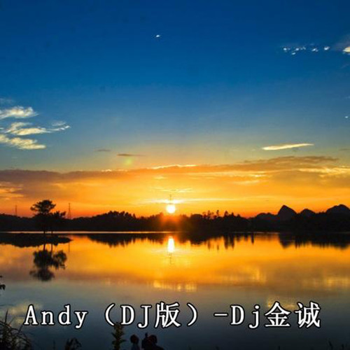 Andy(DJ版)