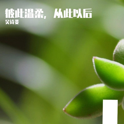 彼此温柔，从此以后