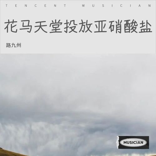 赛博丁真抄袭风波 - 路九州