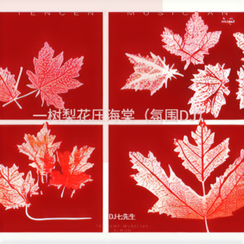 一树梨花压海棠（氛围DJ）