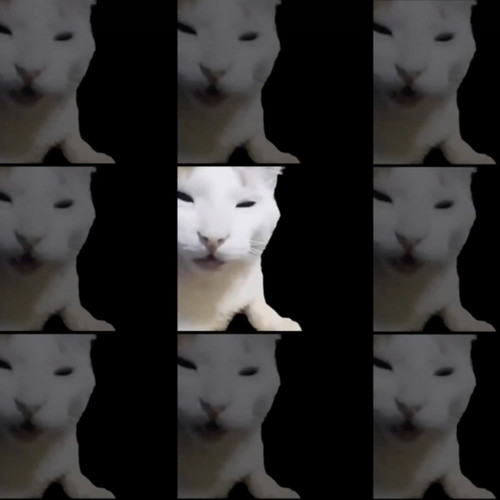 猫meme大司马(降速版)