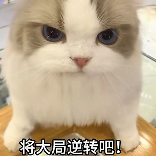 开！将大局逆转吧（手机掉缝里了） - Xun