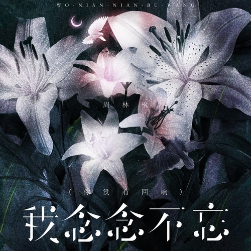 我念念不忘（你没有回响）
