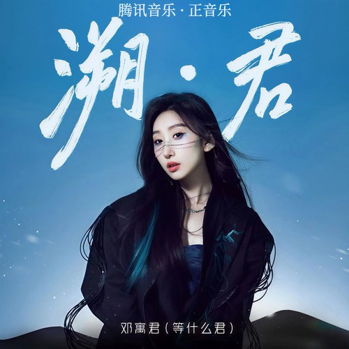 无字碑 - 邓寓君(等什么君)