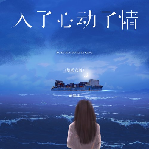 入了心动了情（烟嗓女版）