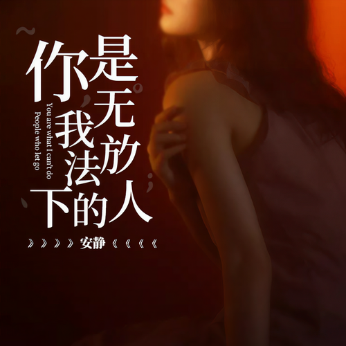 你是我无法放下的人 - 安静