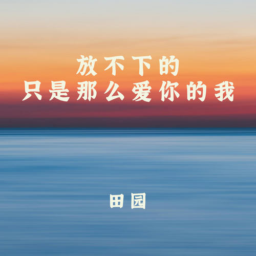放不下的只是那么爱你的我