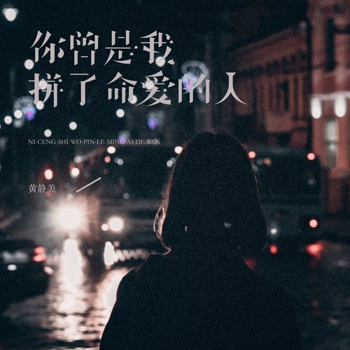 你曾是我拼了命爱的人