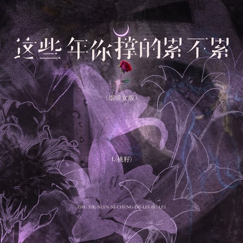 这些年你撑的累不累（烟嗓女版）