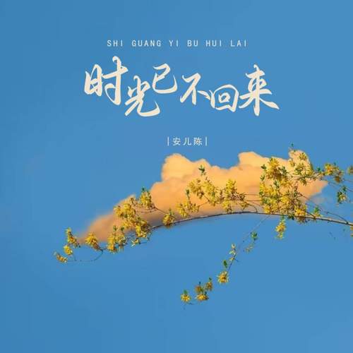 时光已不回来
