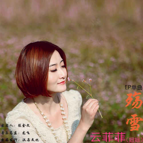 殇雪 - 云菲菲