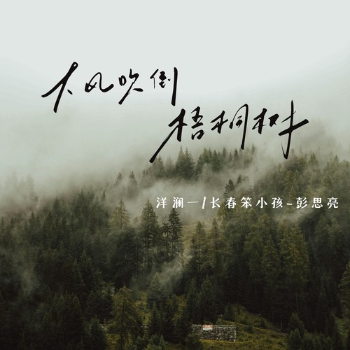 大风吹倒梧桐树