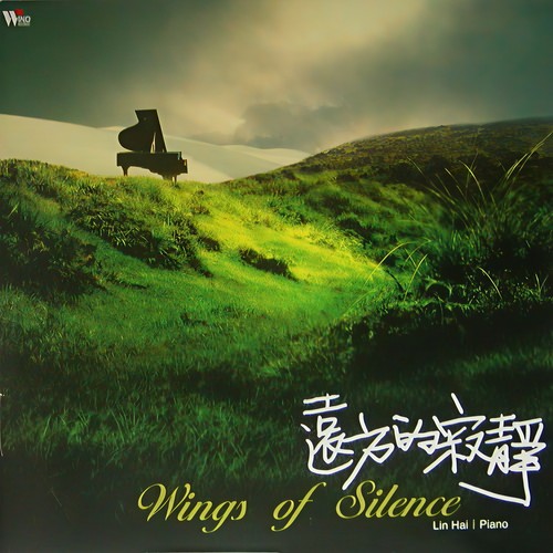 远方的寂静 - 林海