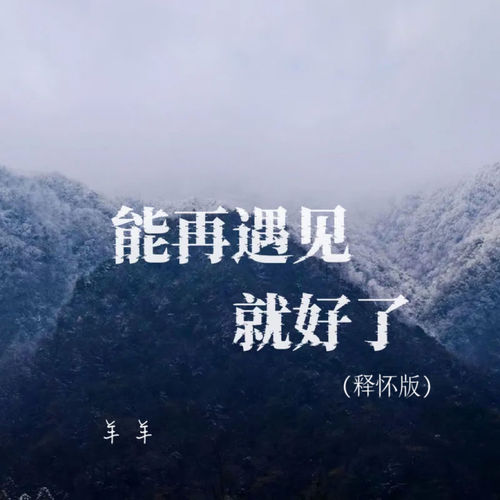 能再遇见就好了 (释怀版)