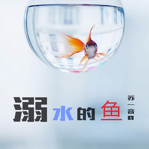 溺水的鱼 - 苏一音