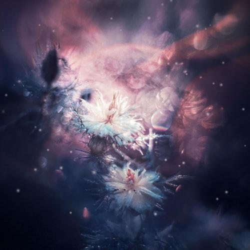 Inner Horizon Sequence