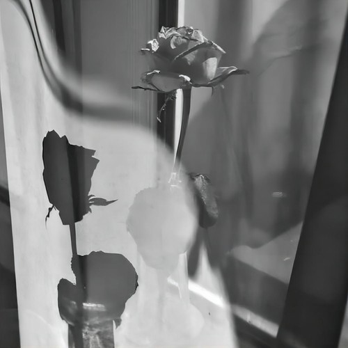 爱的故事上集 (DJ沈梦逸版)