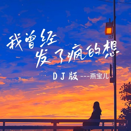 我曾经发了疯的想（DJ沈念版）