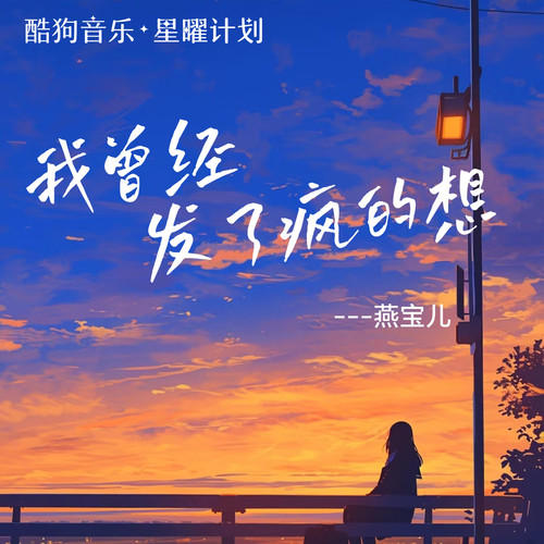 我曾经发了疯的想