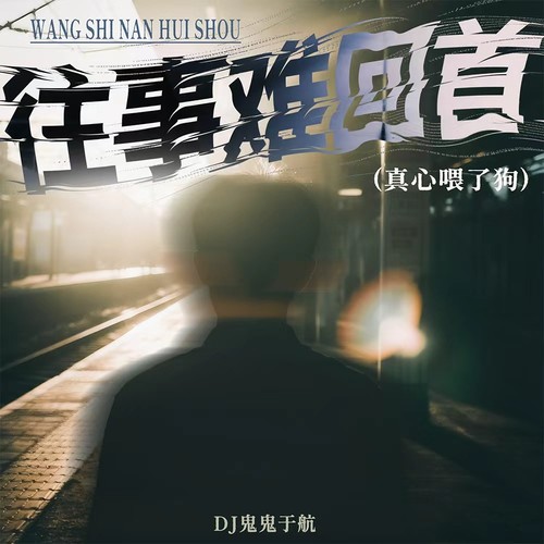 往事难回首(真心喂了狗)