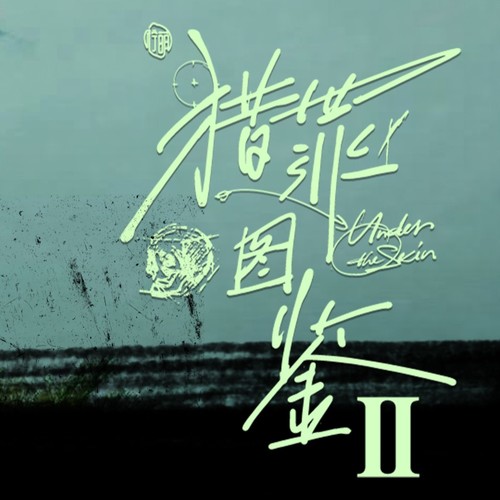 时光有光 - 王栎鑫