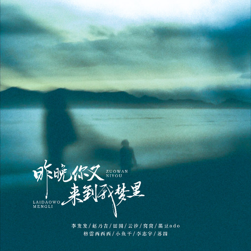 昨晚你又来到我梦里（拼命爱的人没有让我赢）