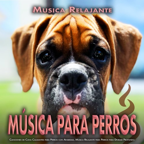 Música para Perros: Canciones de Cuna Calmantes para Perros con Ansiedad, Música Relajante para Perros para Dormir Profundo