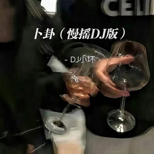 卜卦(慢摇DJ版) - DJ小坏
