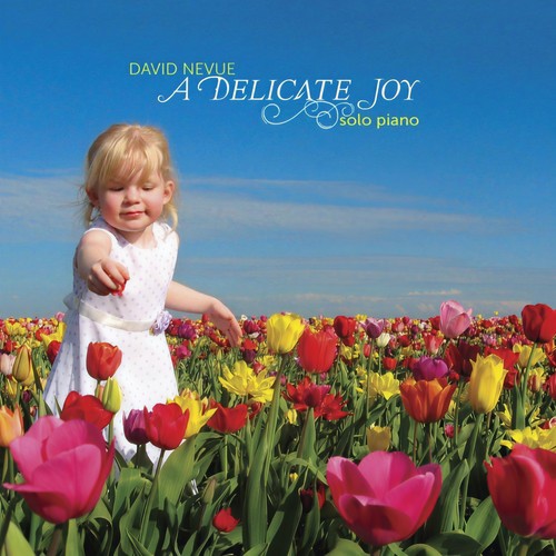 Down by the Sally Gardens - David Nevue