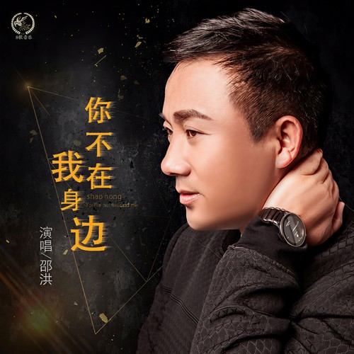 你不在我身边(DJ版) - 邵洪