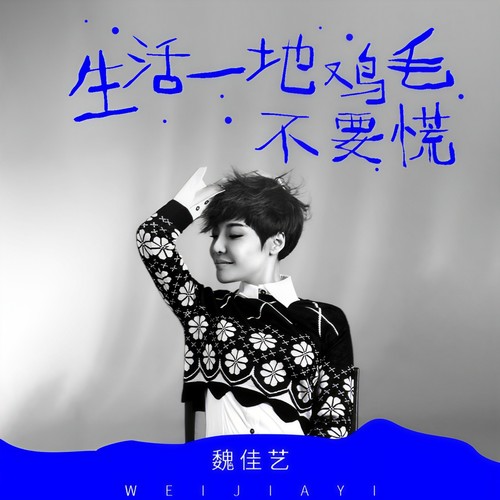 魏佳艺-生活一地鸡毛不要慌.ape 下载插图