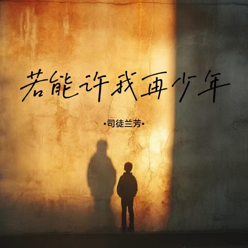 若能许我再少年