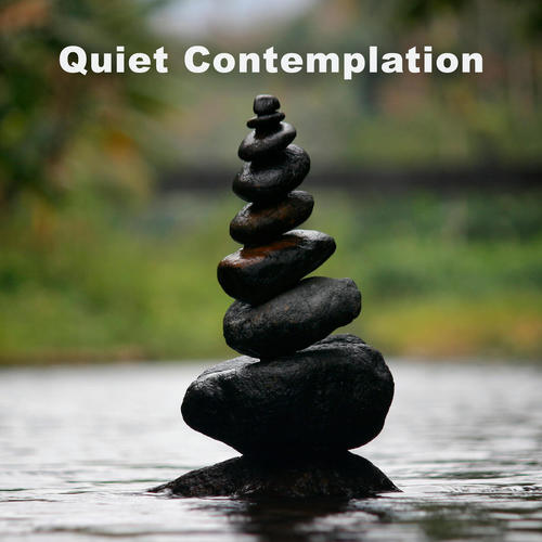 Quiet Contemplation