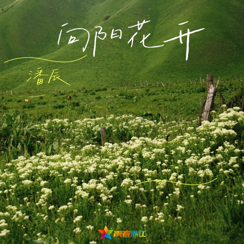 向阳花开 - 潘辰
