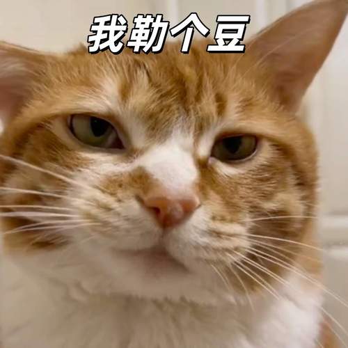 我勒个豆 - 大清第一巴图鲁